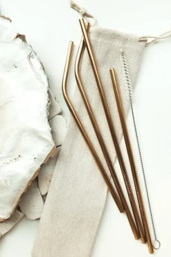 Eco|SABO Eco Straw Set-Gold